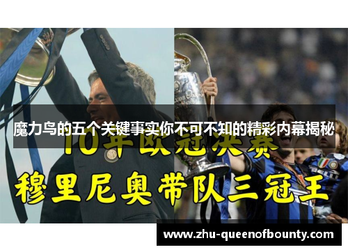 魔力鸟的五个关键事实你不可不知的精彩内幕揭秘 魔力鸟的五个关键事实你不可不知的精彩内幕揭秘